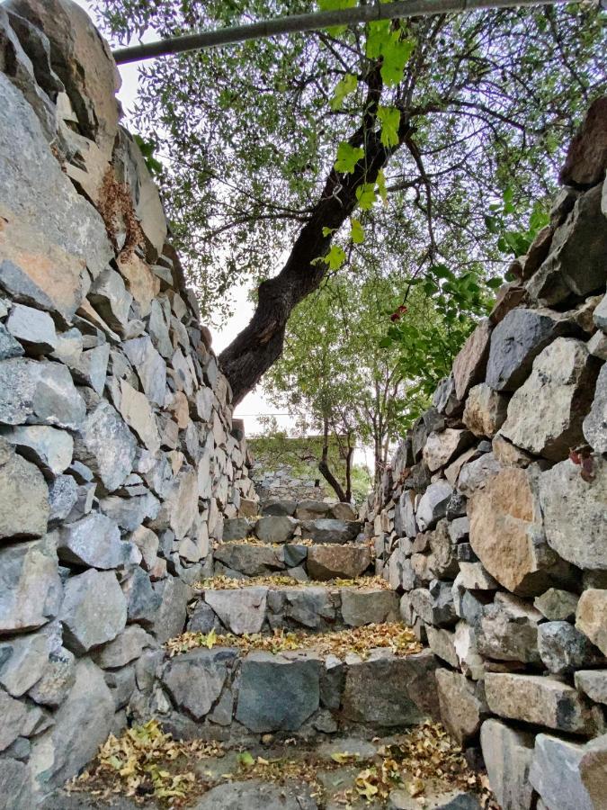 Arhontiko Askas Mansion Otel Dış mekan fotoğraf